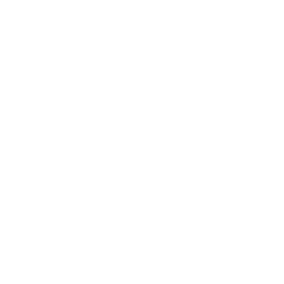 White Defaut Logo